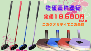このクオリティでこの価格SE-1710ワイドショットモデル