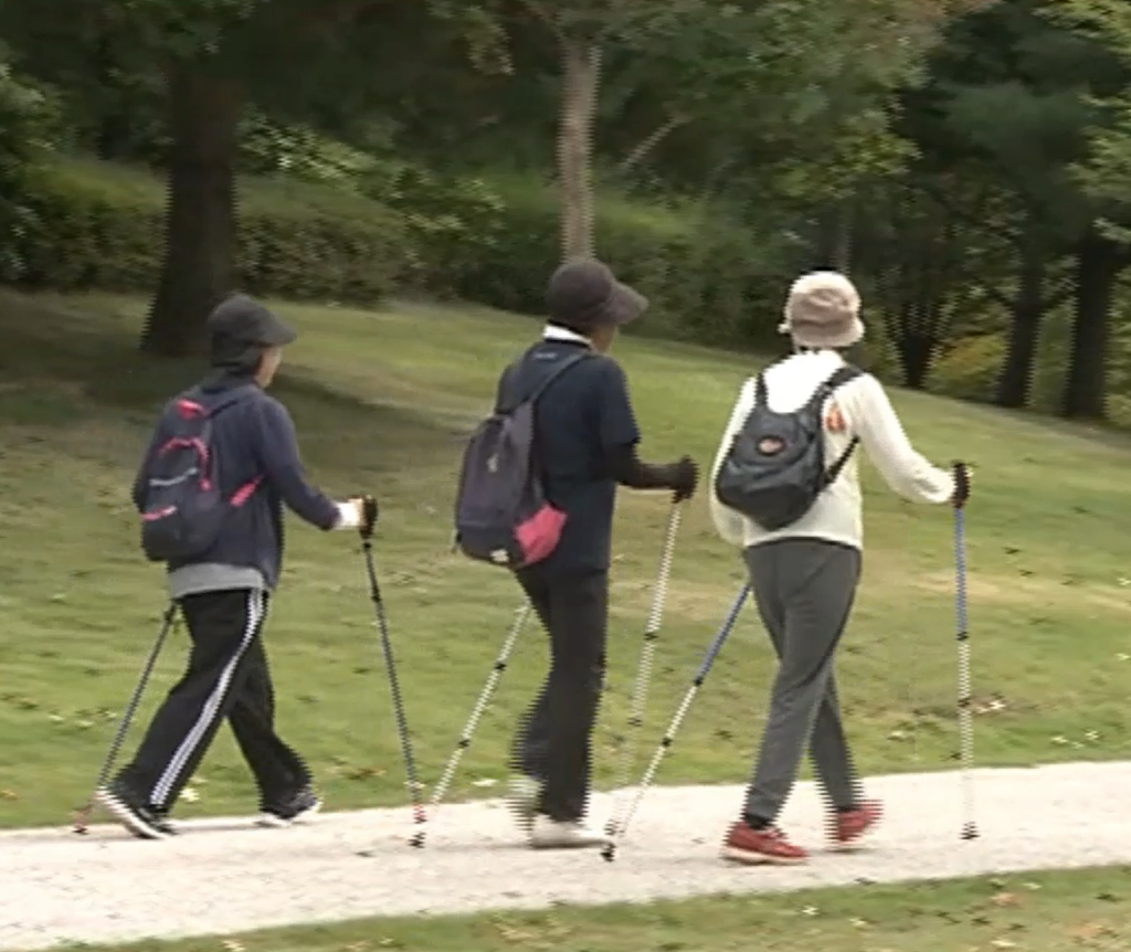 ポールを使って歩きませんか